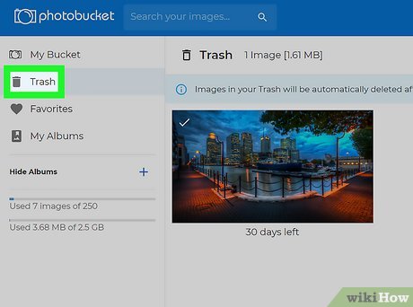 Easy Ways to View Photobucket Images: Get Your Photos Back!