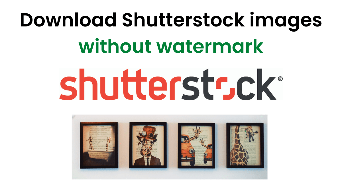 Shutterstock downloader ⬇️ :Without Watermark For Free (Solved)