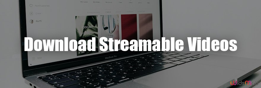 7 Easy Methods to Download Streamable Videos with One Click