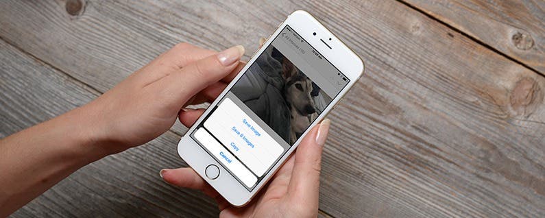 How to Save Images Pictures Photos from an iPhone Message or Email