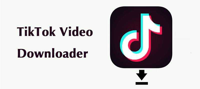 ONLINE EASY AND FREE TIKTOK VIDEO DOWNLOADER Act4apps