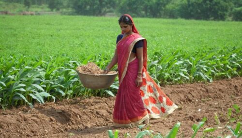 USAn women half saree working in field