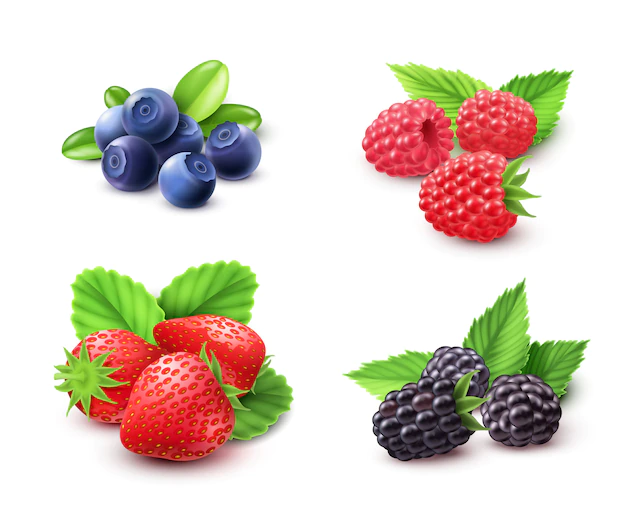 Free Vector | Berry realistic set