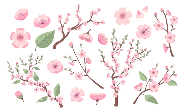 Free Vector | Blooming sakura branches