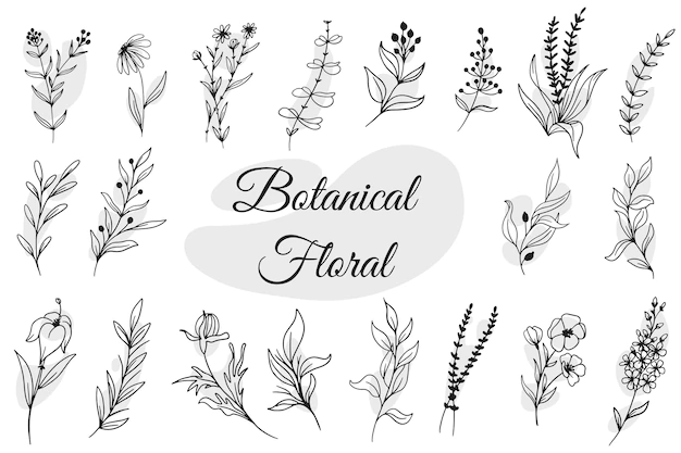 Free Vector | Botanical floral hand drawn isolated