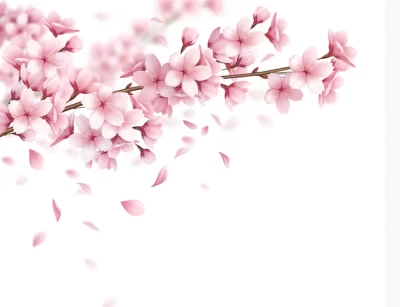 Free Vector | Branch with beautiful sakura flowers and falling petals realistic composition illustration