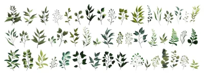 Free Vector | Collection of greenery leaf plant forest herbs tropical leaves spring flora in watercolor style.