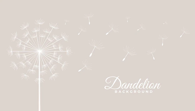 Free Vector | Dandelion tea leaves flying seeds background