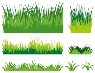 Free Vector | Different doodles of grass