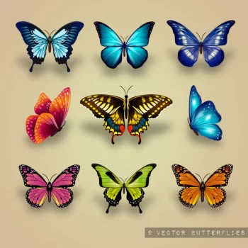 Free Vector | Excellent collection of butterflies