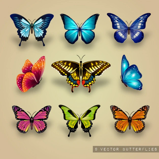 Free Vector | Excellent collection of butterflies
