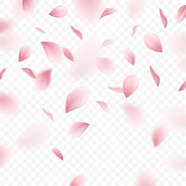 Free Vector | Falling pink sakura petals realistic illustration