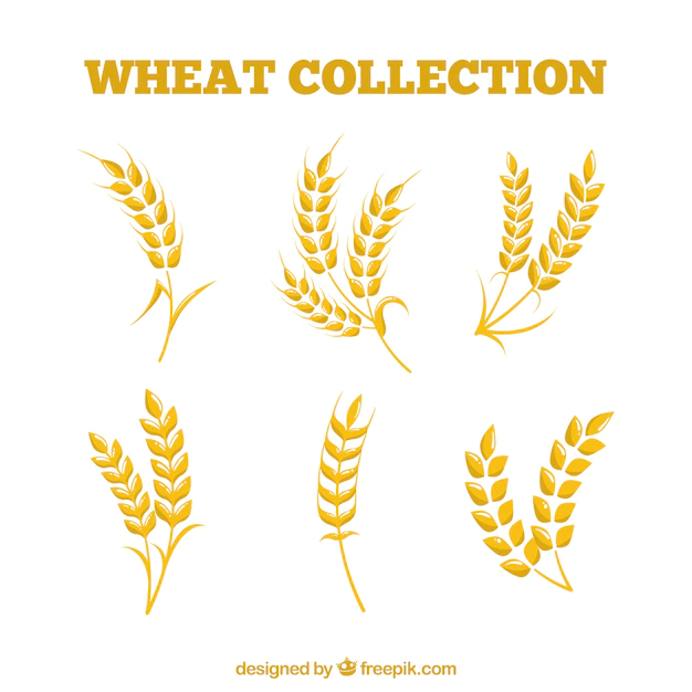 Free Vector | Flat wheat collection