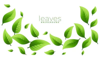 Free Vector | Floating or falling green leaves background design with copyspace