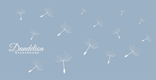 Free Vector | Flying dandelion flower seeds background