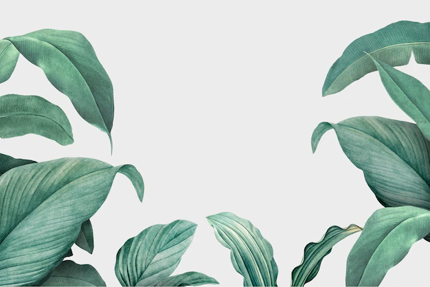 Free Vector | Foliage background