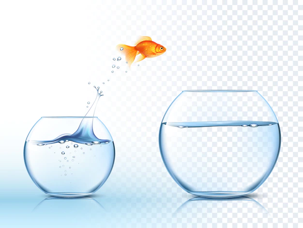 Free Vector | Goldish jumps out water bowl  picture