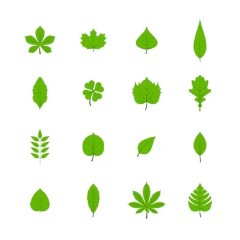 Free Vector | Green trees leaves flat icons set of oak aspen linden maple chestnut clover plants isolated vector illustration