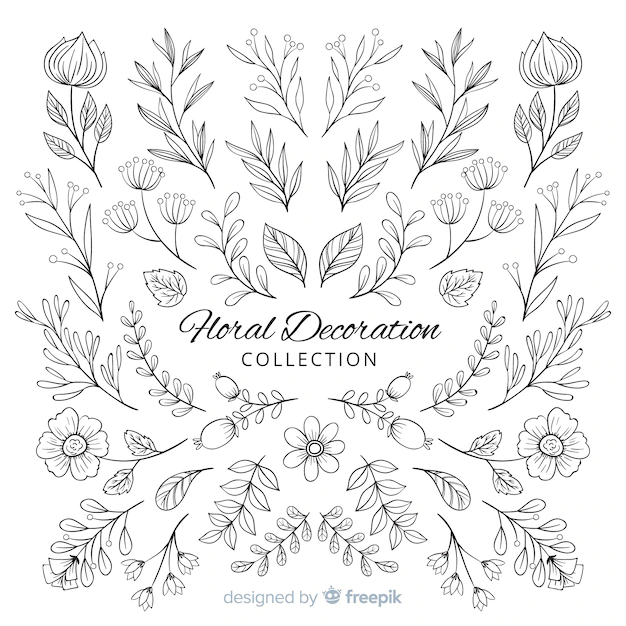 Free Vector | Hand draw floral decoration elements