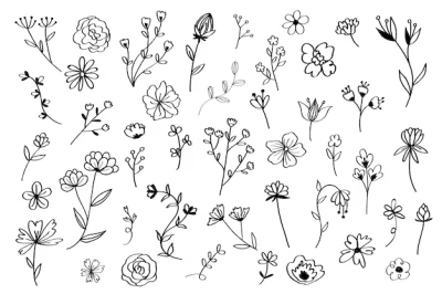 Free Vector | Hand drawn flower set