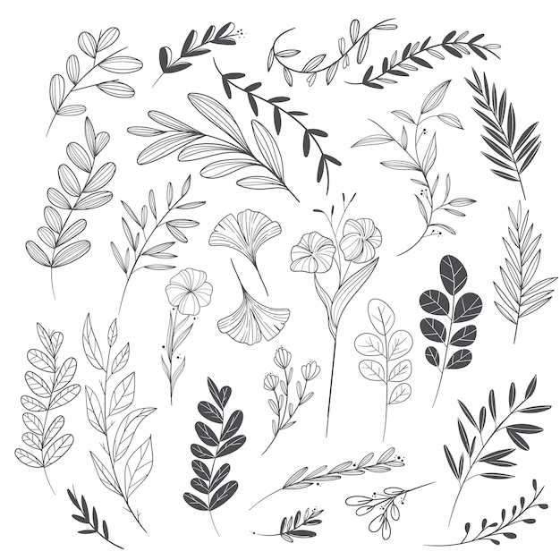 Free Vector | Hand drawn wedding ornaments