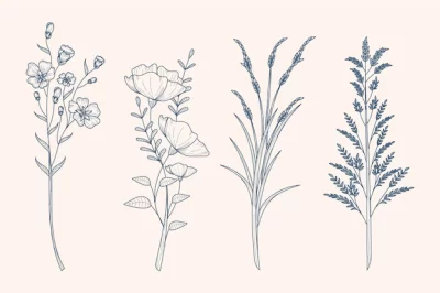 Free Vector | Herbs & wild flowers drawing in vintage style