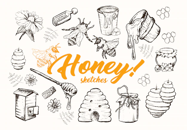 Free Vector | Honey sketches set, beehive, honey jar, barrel, spoon hand drawn