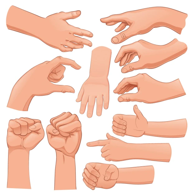 Free Vector | Human hands set