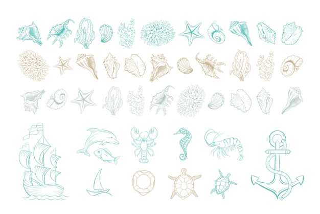 Free Vector | Marine line art icons, ocean and sea beach shells