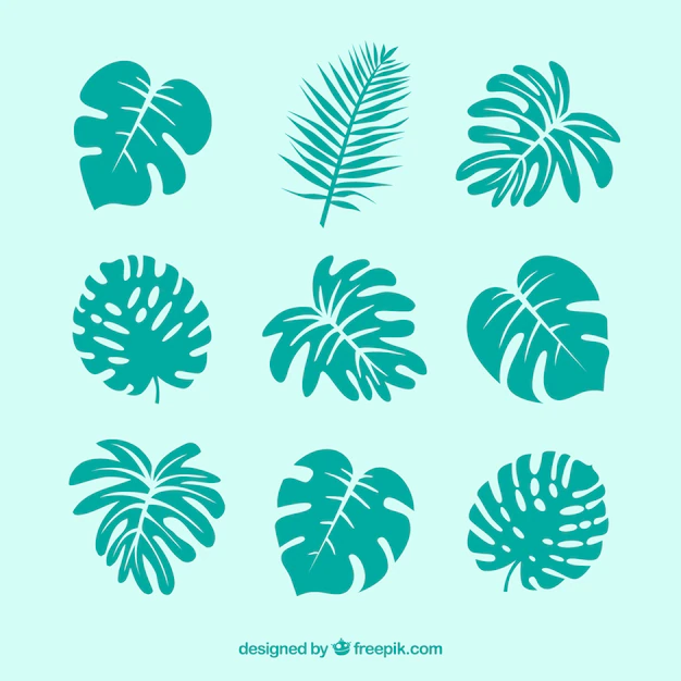 Free Vector | Modern set of tropical leaves with flat design