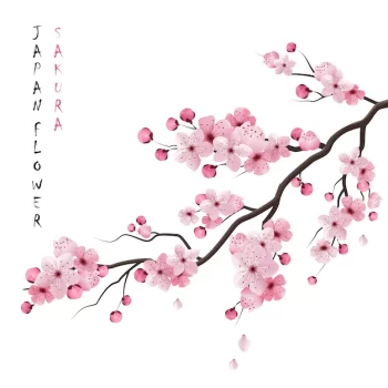 Free Vector | Realistic sakura branch