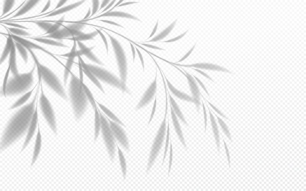Free Vector | Realistic transparent shadow of a bamboo branch with leaves isolated on a transparent background. vector illustration