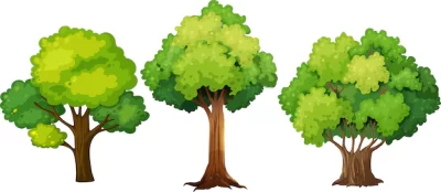 Free Vector | Set of different tree design