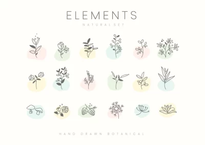 Free Vector | Set of hand drawn botanical elements vector