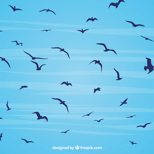 Free Vector | Silhouette flying bird background