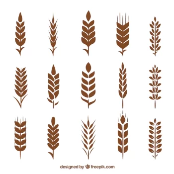 Free Vector | Silhouette wheat collection