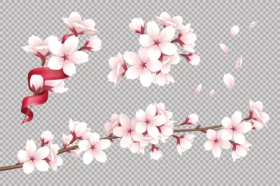 Free Vector | Transparent realistic blooming cherry flowers and petals illustration