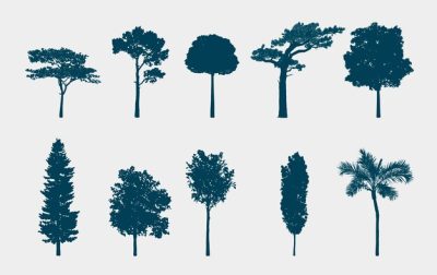 Free Vector | Tree collection