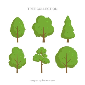 Free Vector | Tree collection of six