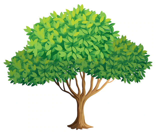 Free Vector | Tree