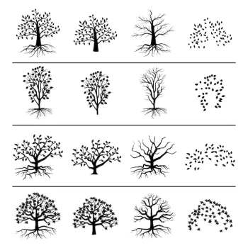 Free Vector | Trees with roots, foliage and fallen leaves isolated on white background. silhouette of tree, and leaf monochrome illustration