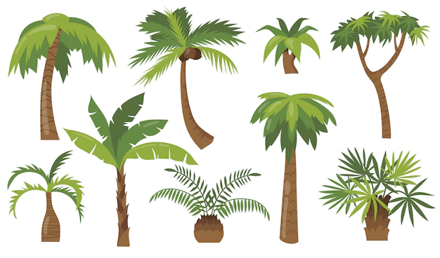 Free Vector | Various cartoon palm trees flat icon set