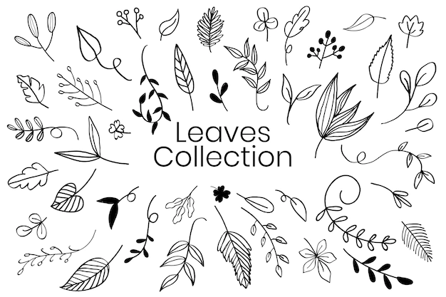 Free Vector | Various leaves doodle collection vector