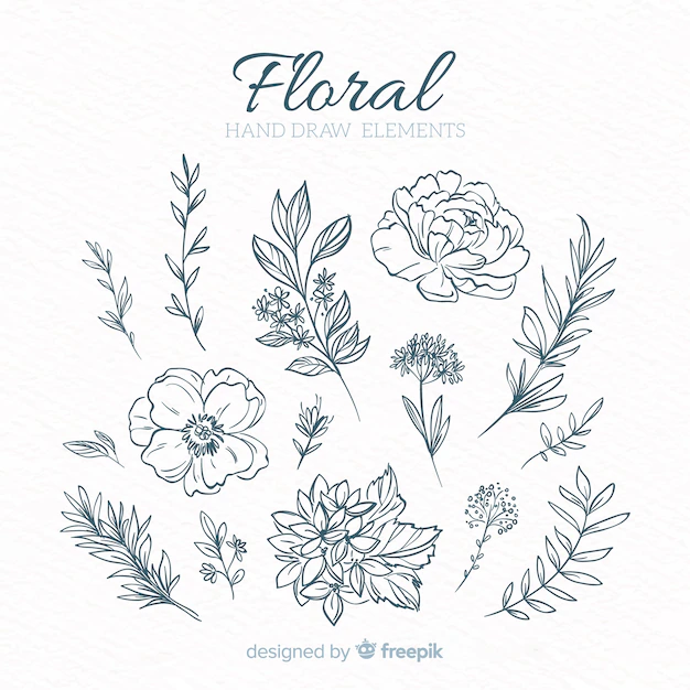 Free Vector | Hand drawn floral decorative elements