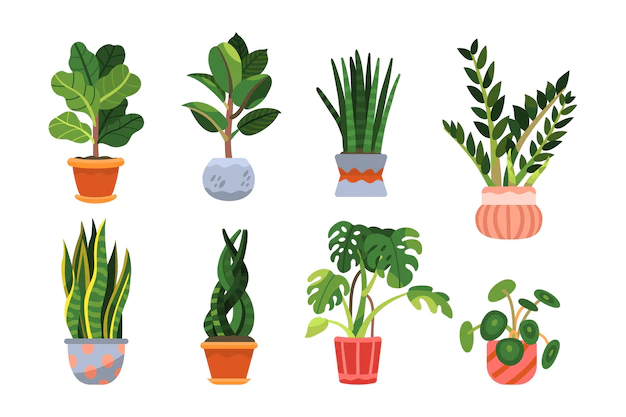 Free Vector | Organic flat houseplant collection
