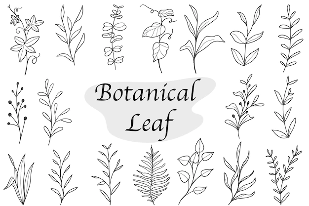 Free Vector | Set of botanical leaf doodle wildflower line art