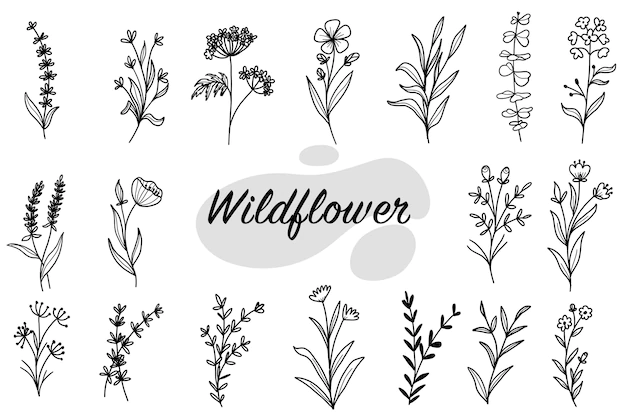 Free Vector | Set of botanical leaf doodle wildflower line art