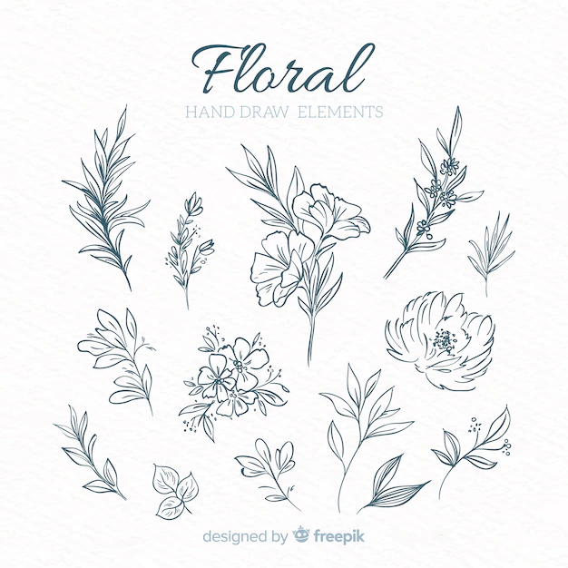 Free Vector | Hand drawn floral decorative elements