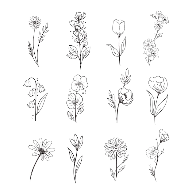 Free Vector | Hand drawn flower collection