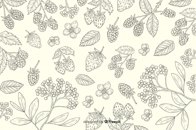 Free Vector | Hand drawn natural food background